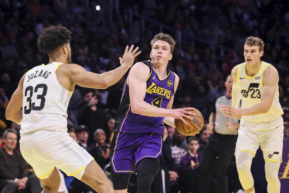 供了借鉴的 供了借鉴的